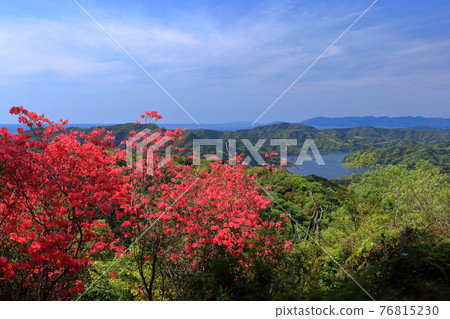 Spectacular view from the hiking trail: Azaleas, from the Hakaiyama Otoge Observatory to Chausuyama (Tosa City, Kochi Prefecture) Spectacular view from the hiking trail: Azaleas, from the Hakaiyama Otoge Observatory to Chausuyama (Tosa City, Kochi Prefecture) 76815230
