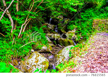 路邊的河的照片 76815565