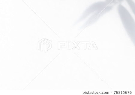 Shadow of bamboo leaves, silhouette [summer] 76815676