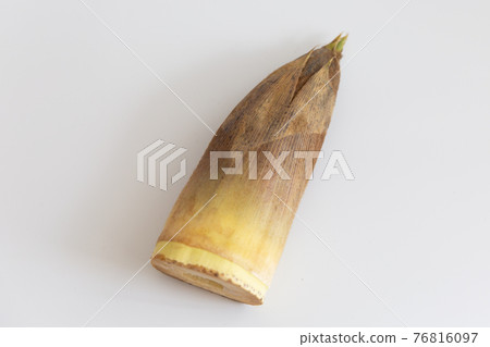 Bamboo shoots with skin 76816097