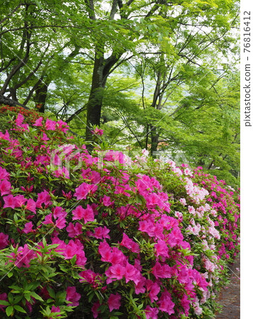 東山、京都、宗田神社的平戶辻 76816412