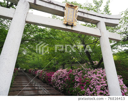 Higashiyama, Kyoto, Hirado Tsutsuji of Munetada Shrine 76816413