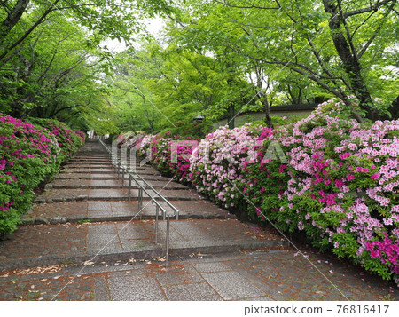 東山、京都、宗田神社的平戶辻 東山、京都、宗田神社的平戶辻 76816417