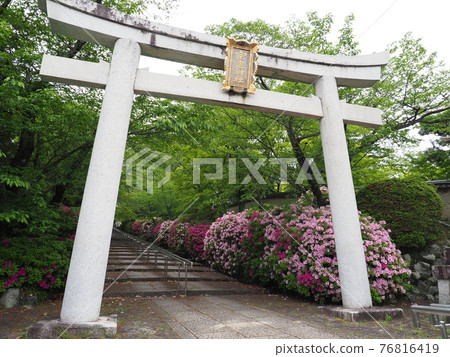 Higashiyama, Kyoto, Hirado Tsutsuji of Munetada Shrine 76816419