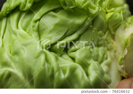 Fresh green cabbage on whole background, close up Fresh green cabbage on whole background, close up 76816632