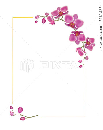 Orchid realistic vector 76818284