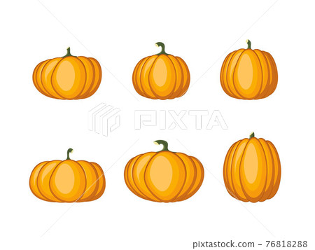 Autumn pumpkins vector 76818288