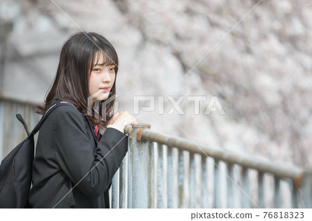 櫻花和學校的女孩 櫻花和學校的女孩 76818323