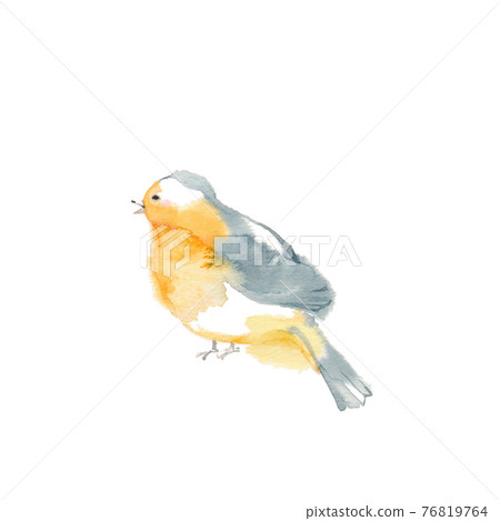 可愛的橙色鳥，朝左 76819764
