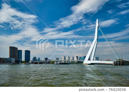 View of Rotterdam over Nieuwe Maas with Erasmusbrug bridge. Rottherdam, the Netherlands View of Rotterdam over Nieuwe Maas with Erasmusbrug bridge. Rottherdam, the Netherlands 76820036