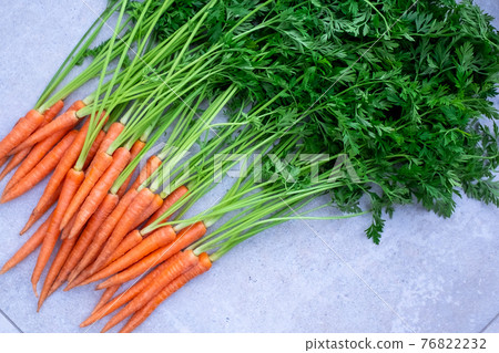 Fresh carrots with leaves from the farmer market Fresh carrots with leaves from the farmer market 76822232