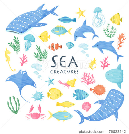 Sea creatures 76822242