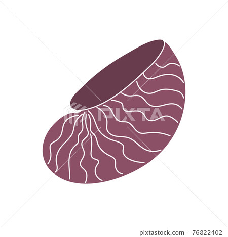Beautiful curly burgundy shell on an isolated background. Malyusk in the sink. Beautiful curly burgundy shell on an isolated background. Malyusk in the sink. 76822402