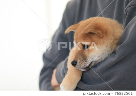 Healing time with a puppy Healing time with a puppy 76822561