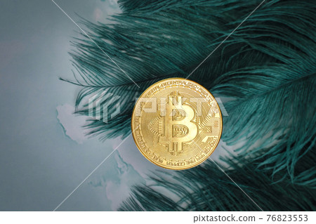 Golden Bitcoins Cryptocurrency top view stack of Digital coins on gray marble desk table green feathers background.Flat lay blank text.Copy space for word. Golden Bitcoins Cryptocurrency top view stack of Digital coins on gray marble desk table green feathers background.Flat lay blank text.Copy space for word. 76823553