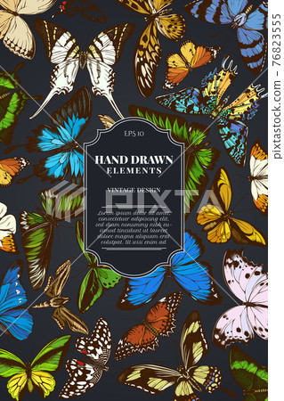 Card design on dark background with great orange-tip, emerald swallowtail, jungle queens, plain 76823555