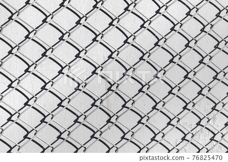 Fence cage Rabitz covered old gray wall Fence cage Rabitz covered old gray wall 76825470