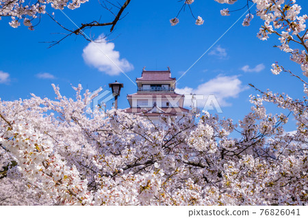 Fukushima Prefecture Spring Tsuruga Castle Fukushima Prefecture Spring Tsuruga Castle 76826041