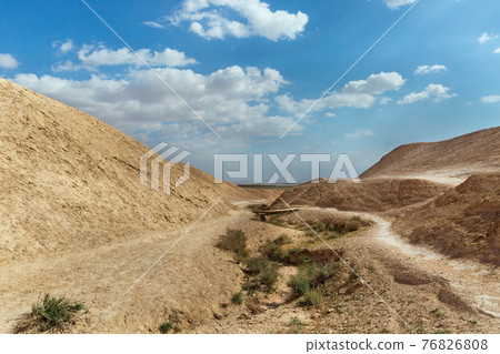 canyon of the OG riverbed at dawn 76826808