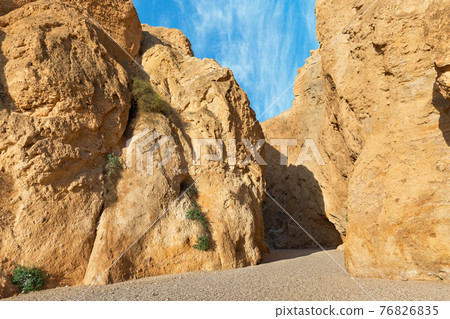 canyon of the OG riverbed at dawn 76826835