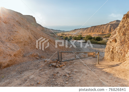 canyon of the OG riverbed at dawn 76826841
