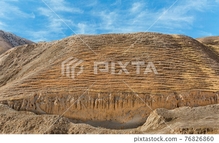 canyon of the OG riverbed at dawn 76826860