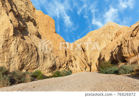 canyon of the OG riverbed at dawn 76826872