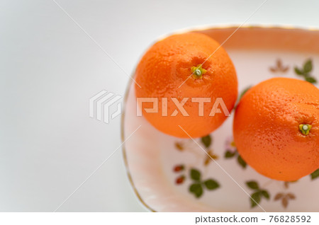 出生於佛羅里達州 Mineo La Orange 76828592
