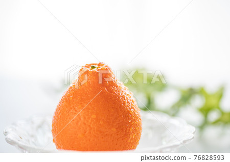 出生於佛羅里達州 Mineo La Orange 出生於佛羅里達州 Mineo La Orange 76828593