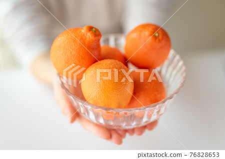 出生於佛羅里達州 Mineo La Orange 出生於佛羅里達州 Mineo La Orange 76828653