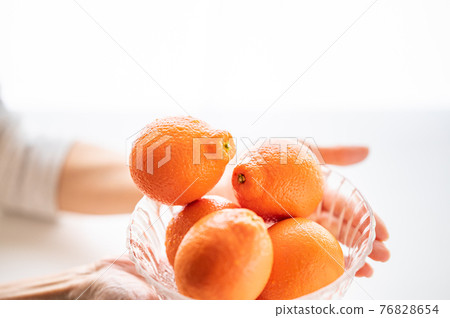 出生於佛羅里達州 Mineo La Orange 76828654