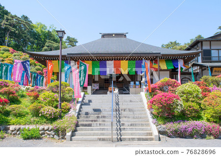 Ome City Shiofune Kannon Gomadou Azalea Festival Ome City Shiofune Kannon Gomadou Azalea Festival 76828696