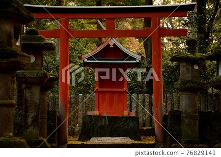 奈良縣春日大社鳥居門 奈良縣春日大社鳥居門 76829141
