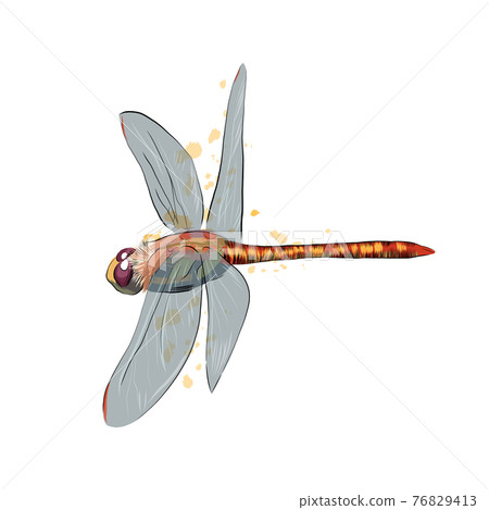 Dragonfly from a splash of watercolor, colored drawing, realistic 76829413