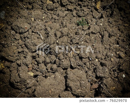 ground texture ground texture 76829978