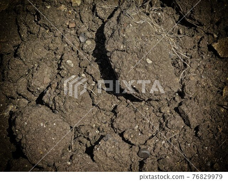 ground texture ground texture 76829979