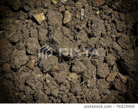 ground texture ground texture 76829980