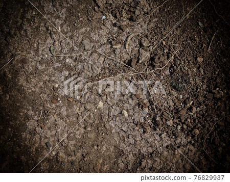 ground texture ground texture 76829987