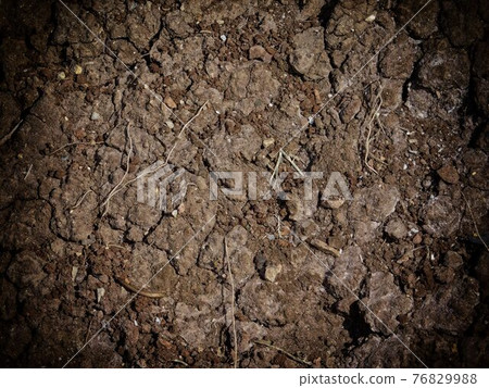 ground texture 76829988