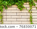 Pit and wall 76830071