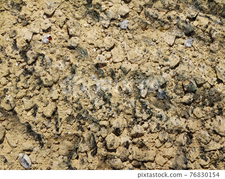ground texture ground texture 76830154