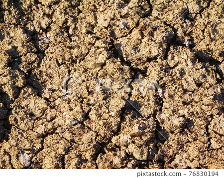 ground texture ground texture 76830194