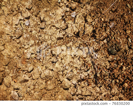 ground texture ground texture 76830200