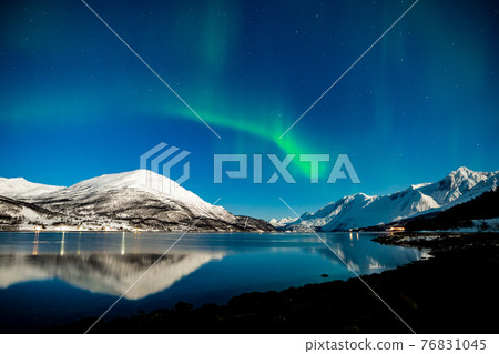 Norwegian Northern Lights Viewing View 76831045