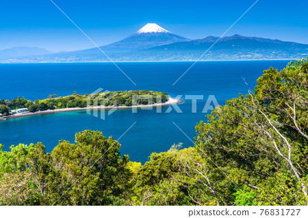 《靜岡縣》富士山和翠綠的大瀨崎 《靜岡縣》富士山和翠綠的大瀨崎 76831727