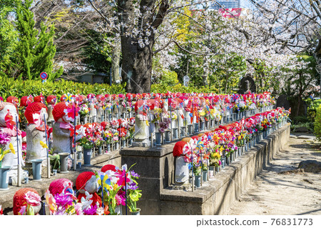 [Tokyo] Many Jizo statues lined up in the precincts of Zojoji Temple 76831773