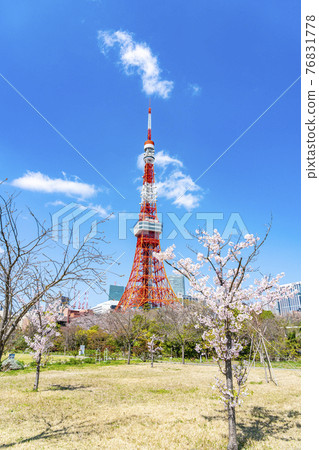 [東京] 從春天芝公園看東京塔 76831778