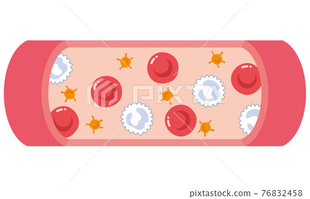 Red blood cells flowing in blood vessels White blood cells Platelets Red blood cells flowing in blood vessels White blood cells Platelets 76832458