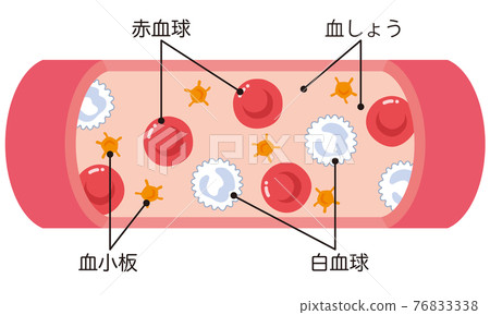 Red blood cells flowing in blood vessels White blood cells Platelets 76833338