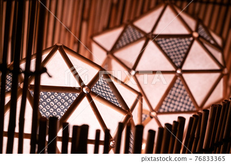 Yoshi's Light and Lake | West Lake Yoshi Light Exhibition 76833365